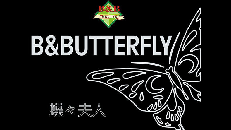 Logo Bed&Butterfly